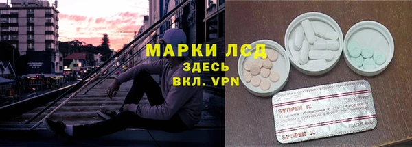 ешки Бородино