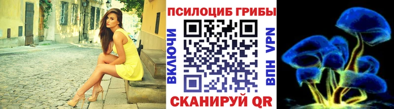Галлюциногенные грибы Magic Shrooms  Ижевск 
